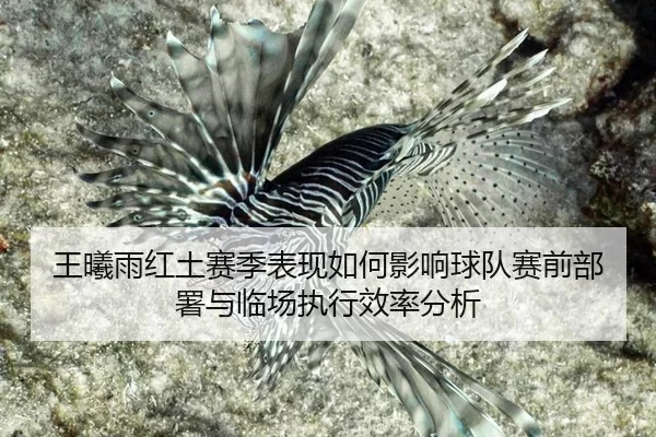 wang-xi-yu-hong-tu-sai-ji-biao-xian-ru-he-ying-xiang-qiu-dui-sai-qian-bu-shu-yu-lin-chang-zhi-xing-xiao-lv-fen-xi-2-109.jpg